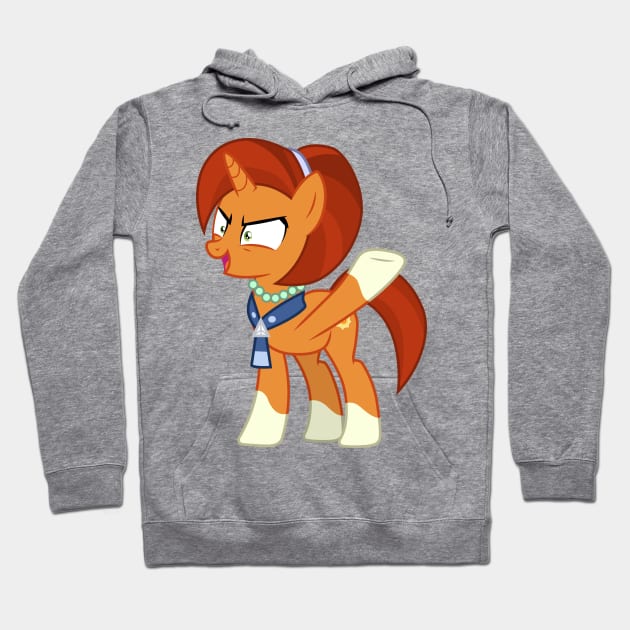 Big plans hoodie shop